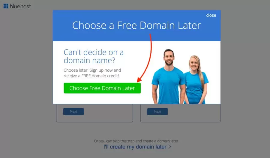 Bluehost WordPress 教程 - 稍后选择域名