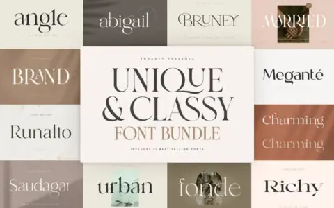 Creative Market最佳字体推荐