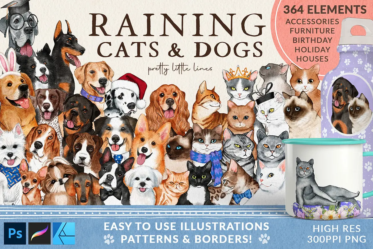 2025 Creative Market独家创意素材合集：设计趋势必备