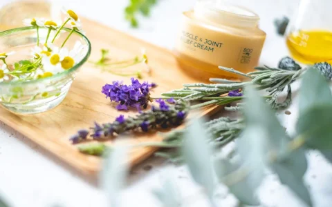 2026 北美CBD乳霜购买指南