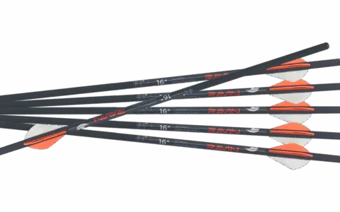 2026 北美獵鹿箭尖完全比較