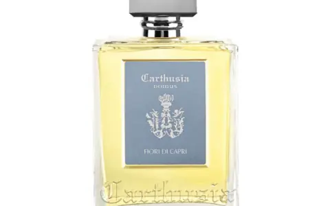 小眾香水推薦：Papique 精品香氛購買指南