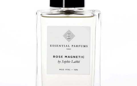 2025 中性香水推薦：最適合辦公室與日常的氣味選擇