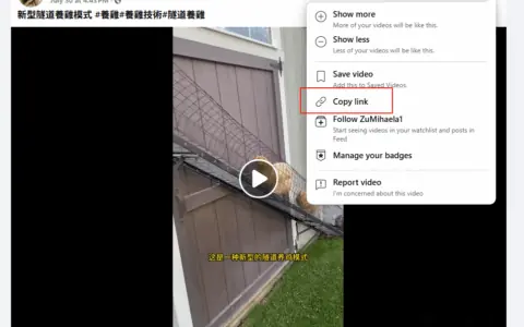 2025 最新下载私人Facebook群组视频教程