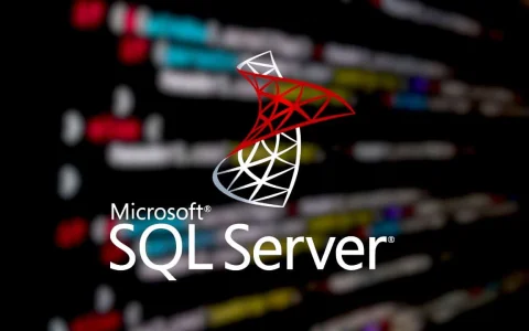 2024 最新SQL Server巡检脚本（转载）
