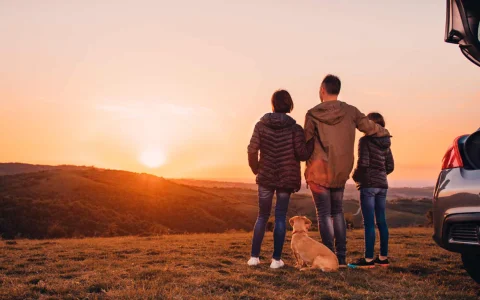 美国飞新加坡便宜机票预订