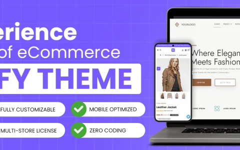 最佳外贸站主题推荐：Debutify