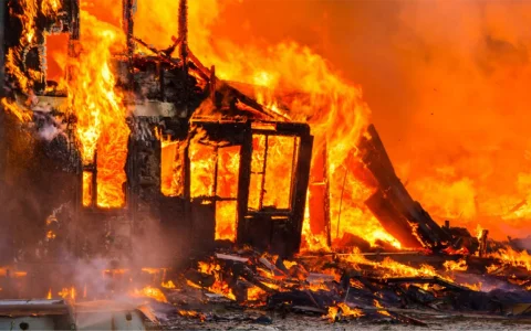 女拳是个什么东西