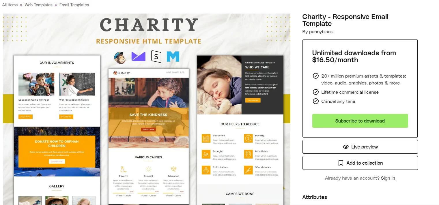 2026 Envato电子邮件模板助你提高转化率 1