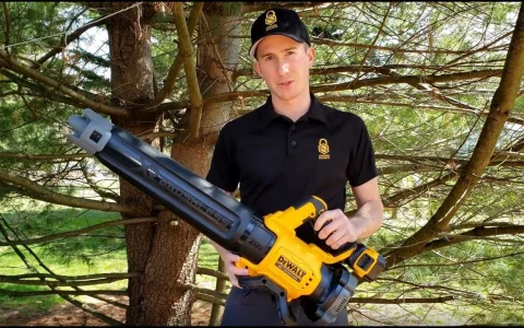 美国无绳吹风机评测：DeWalt DCBL722P1