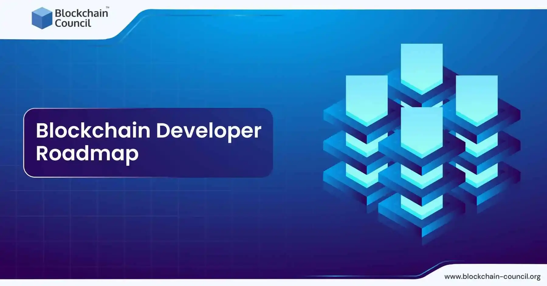 2025 程序员职业转型之路：Certified Ethereum Developer 认证助你高薪