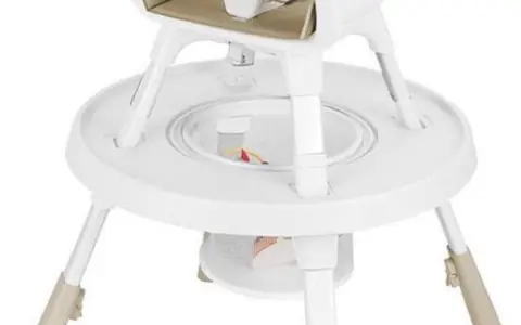 北美兒童餐椅推薦