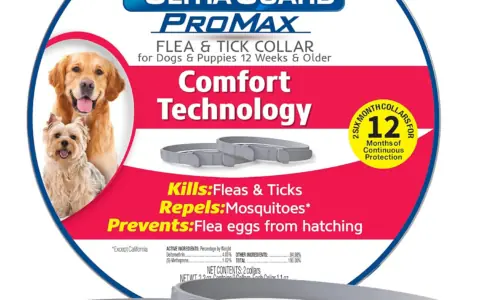 亚马逊狗用项圈推荐