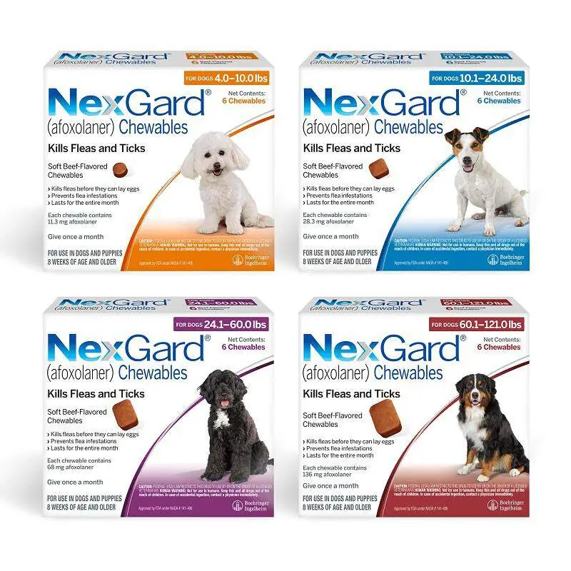 NexGard 狗狗跳蚤与蜱虫治疗：最有效的防护选择