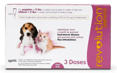 猫咪驱虫新选择：Revolution for Cats 使用指南与评测