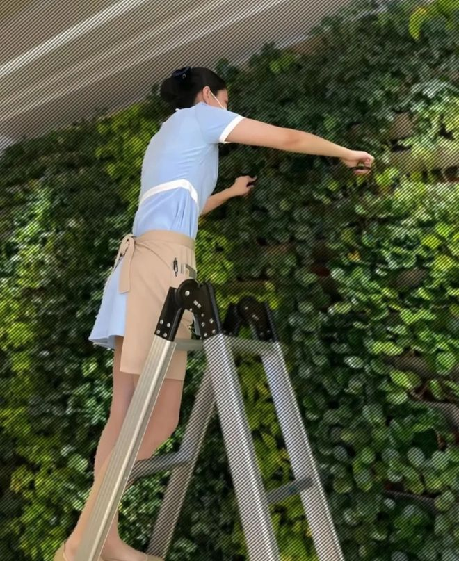 为什么好利来女员工上班要穿丝袜呢？ 21