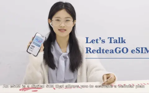 2025 国外最便宜eSIM推荐，国内免翻墙使用国际软件