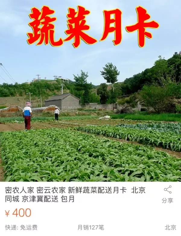2026 农村如何挖到第一桶金 4