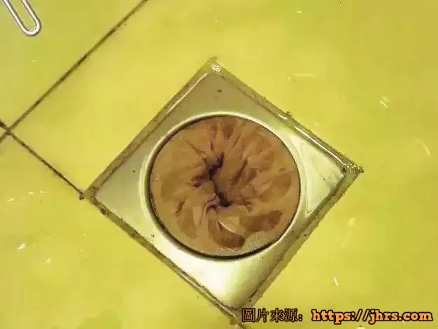 她把丝袜套在花盆上花长得特别旺邻居都羡慕极了！ 6