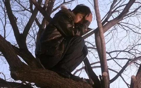 关于最近网上我今年36岁除了收费啥也不会一点感想