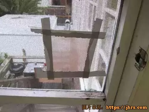 她把丝袜套在花盆上花长得特别旺邻居都羡慕极了！ 14