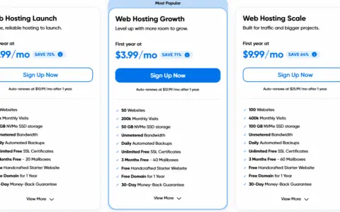 海外站群部署首选主机