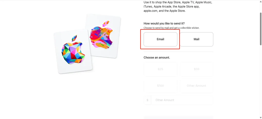2025 最新国内注册美区Apple ID 教程 10