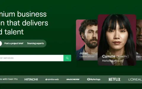 YouTube 流量不够？Fiverr Pro 的专业频道推广者帮你解决！