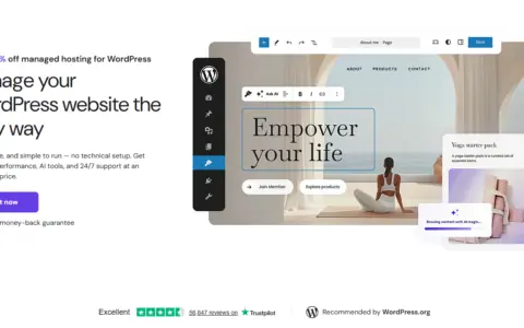WordPress 进入 AI 时代：Hostinger 推出首个 AI 网站管家 Kodee
