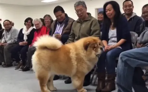 YouTube 搬运赚钱实战