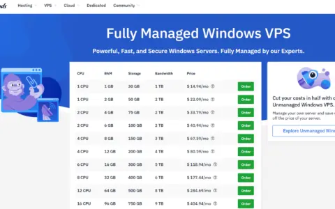 便宜 Windows VPS 推荐