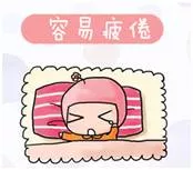 【孕妈大学】为了怀孕聪明狗年宝宝你必须了解的十件事 3