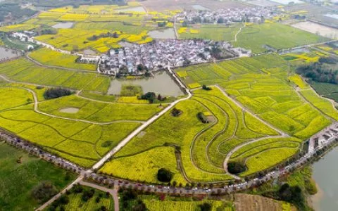 英媒从“情趣内衣”产地看中国特色小镇：农村脱贫新道路（全文