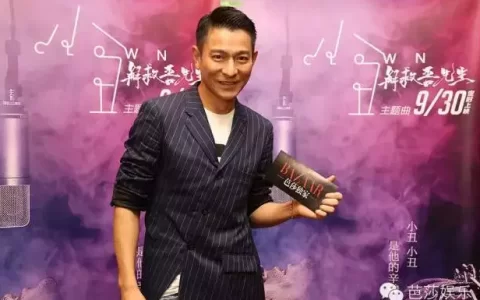 青春里的刘德华30年150部电影2000首歌