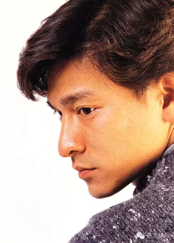 青春里的刘德华30年150部电影2000首歌 2