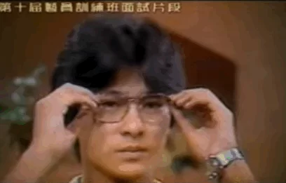 青春里的刘德华30年150部电影2000首歌 4