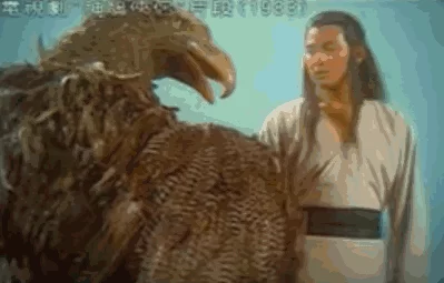 青春里的刘德华30年150部电影2000首歌 5