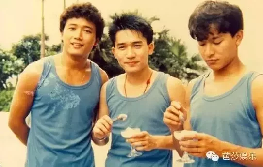青春里的刘德华30年150部电影2000首歌 8