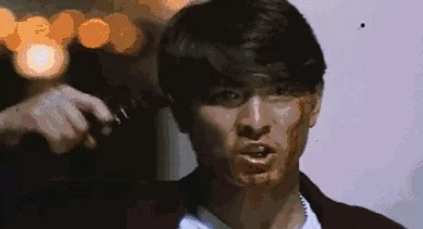 青春里的刘德华30年150部电影2000首歌 15