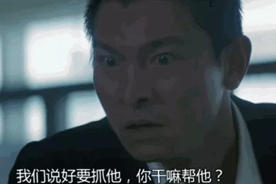 青春里的刘德华30年150部电影2000首歌 32