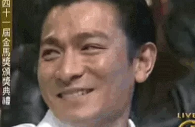 青春里的刘德华30年150部电影2000首歌 33