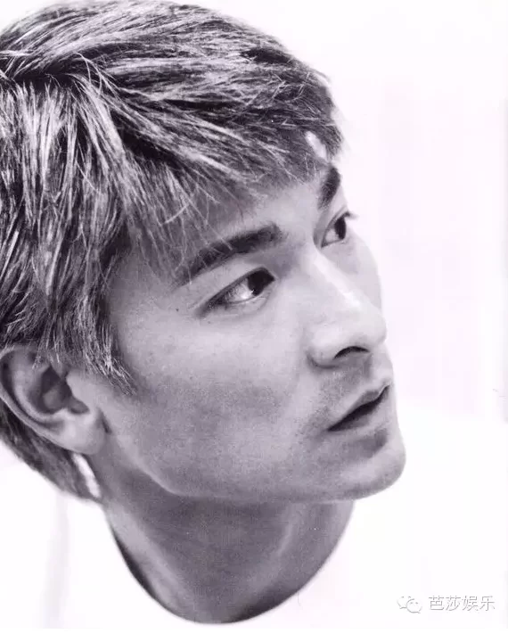 青春里的刘德华30年150部电影2000首歌 47