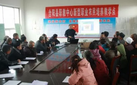 网络媒体看合阳•园丁风采篇（二