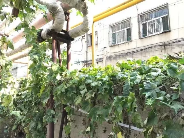 住在济南堤口路真是太太太幸福！ 5