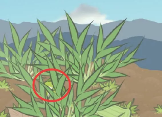 旅行青蛙最敷衍的三张照片网友：不仔细看都找不到蛙儿子
