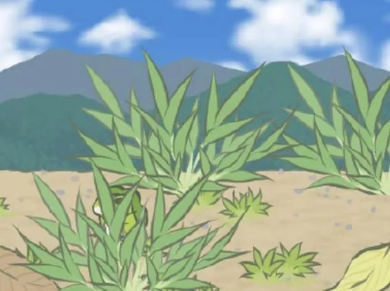 旅行青蛙最敷衍的三张照片网友：不仔细看都找不到蛙儿子 5
