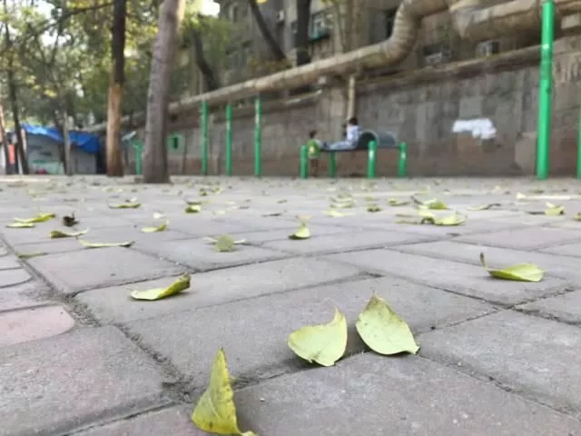 住在济南堤口路真是太太太幸福！ 36