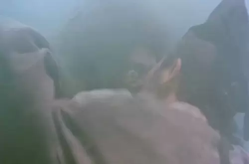 倩女幽魂女鬼色誘男人姥姥纔吃他們的原因 50