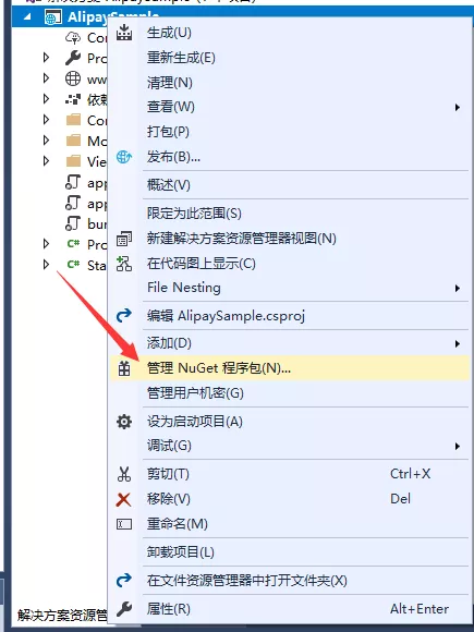 ASP.NET Core Web 支付功能接入 支付宝-电脑网页支付篇 3