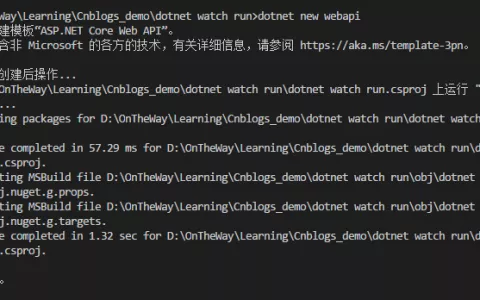 dot watch+vs code提成asp.net core开发效率